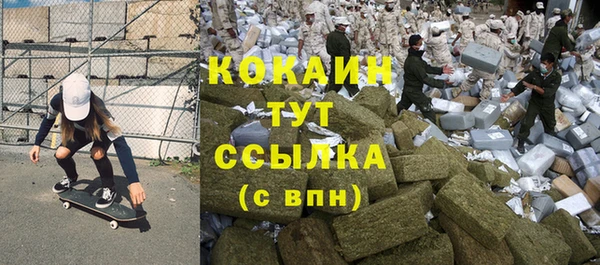 стафф Алексин